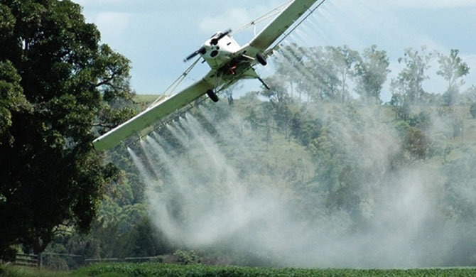 FAES realiza pruebas de fumigación aérea para combatir plaga de langostas voladoras faes-realiza-pruebas-de-fumigacion-aerea-para-combatir-plaga-de-langostas-voladoras